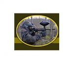 TORCAT -  PAINTBALL pro Cheb a okol�