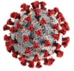 Aktu�ln� mimo��dn� a ochrann� opat�en� ke covid-19 koronavirus
