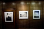 obr�zek fotogalerie